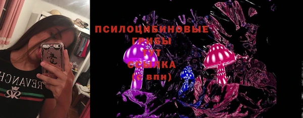 прущие крисы Абаза
