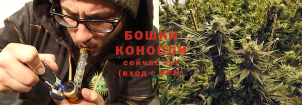 прущие крисы Абаза