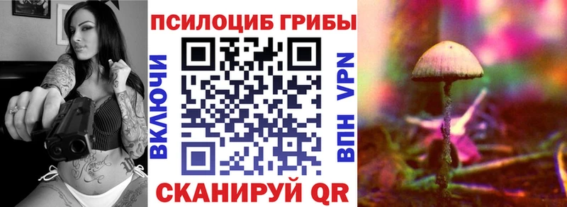 где продают Сычёвка Галлюциногенные грибы Psilocybine cubensis